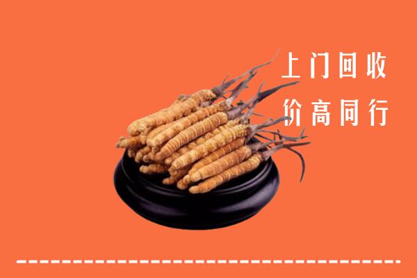 高价求购：天水市秦州回收散虫草
